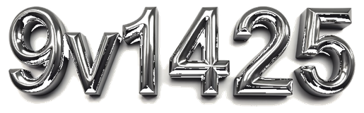 9v1425 logo